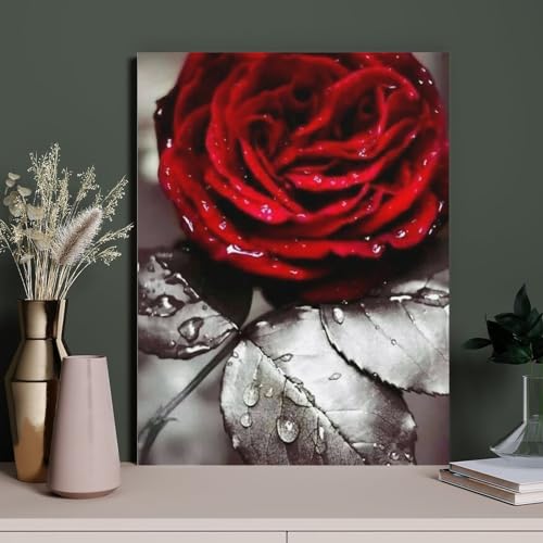 HAIDU 5D Diamond Painting Kits Tropfende rote Rosenfarbe mit Vollbohrer Runde Diamant-Stickerei-Kits Wanddekoration Festivalgeschenk（Round Diamond） 40x50cm-283 von HAIDU