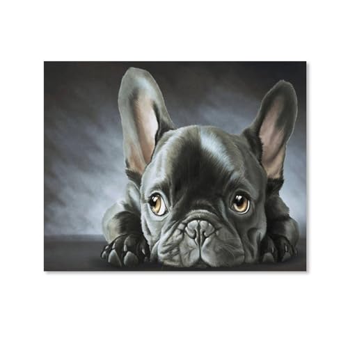 HAIDU 5D Diy Diamond Painting Kit Schwarze Französische Bulldogge Diamond Painting Kunsthandwerk für Zuhause Wanddekoration Full Kit（Round Diamond） 30x40cm-9 von HAIDU