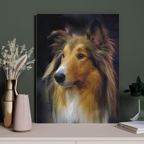 HAIDU DIY 5D Diamond Painting Rauer Collie Hund Malen nach Zahlen Kits Stickerei Zeichnung Strass Kunsthandwerk（Round Diamond） 30x40cm-76 von HAIDU