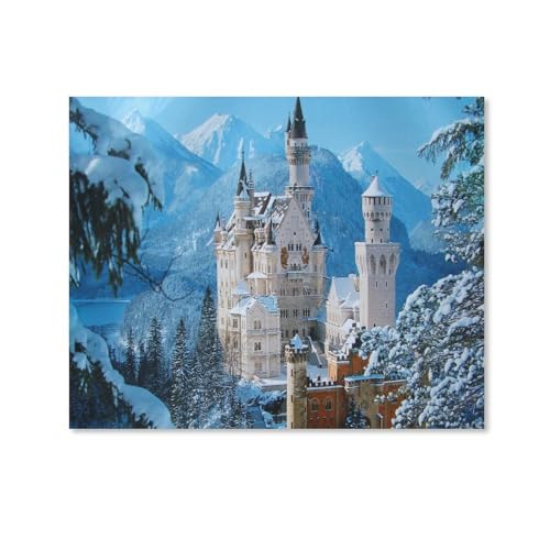 HAIDU DIY Diamant Malerei 5D Diamond Painting Vollbohrer Stickerei Malerei Schloss Neuschwanstein im Winterfür Home Wand Decor gemälde Kreuzstich（Round Diamond） 40x50cm-146 von HAIDU