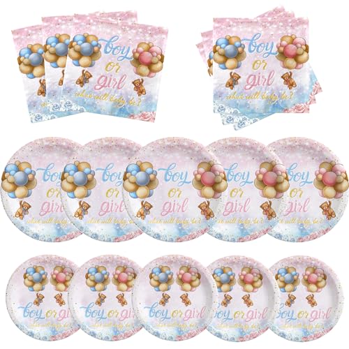 Bear Gender Reveal Decoration: Bear Gender Reveal Geschirr Rosa Blau Teddybär Teller und Servietten Supplies Bär Junge oder Mädchen Teller und Servietten für Babyparty Dekoration Servieren 20 Gäste von HAKOTI