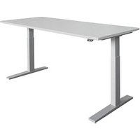 HAMMERBACHER Prokura elektrisch höhenverstellbarer Schreibtisch lichtgrau rechteckig, C-Fuß-Gestell silber 180,0 x 80,0 cm von HAMMERBACHER