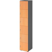 HAMMERBACHER Schließfachschrank grafit, buche V264L6/G/6/DS, 6 Schließfächer 40,0 x 42,0 x 215,6 cm von HAMMERBACHER