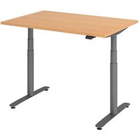 HAMMERBACHER VXDLR12 elektrisch höhenverstellbarer Schreibtisch buche rechteckig, T-Fuß-Gestell grau 120,0 x 80,0 cm von HAMMERBACHER