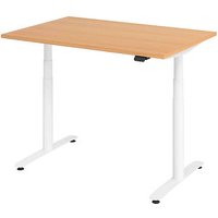 HAMMERBACHER VXDLR12 elektrisch höhenverstellbarer Schreibtisch buche rechteckig, T-Fuß-Gestell weiß 120,0 x 80,0 cm von HAMMERBACHER