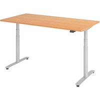 HAMMERBACHER VXDLR16 elektrisch höhenverstellbarer Schreibtisch buche rechteckig, T-Fuß-Gestell silber 160,0 x 80,0 cm von HAMMERBACHER