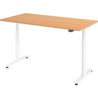 HAMMERBACHER VXDLR16 elektrisch höhenverstellbarer Schreibtisch buche rechteckig, T-Fuß-Gestell weiß 160,0 x 80,0 cm von HAMMERBACHER