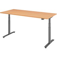 HAMMERBACHER VXDLR19 elektrisch höhenverstellbarer Schreibtisch buche rechteckig, T-Fuß-Gestell grau 180,0 x 80,0 cm von HAMMERBACHER