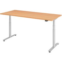 HAMMERBACHER VXDLR19 elektrisch höhenverstellbarer Schreibtisch buche rechteckig, T-Fuß-Gestell silber 180,0 x 80,0 cm von HAMMERBACHER