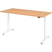 HAMMERBACHER VXDLR19 elektrisch höhenverstellbarer Schreibtisch buche rechteckig, T-Fuß-Gestell weiß 180,0 x 80,0 cm von HAMMERBACHER