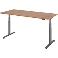 HAMMERBACHER VXDLR19 elektrisch höhenverstellbarer Schreibtisch nussbaum rechteckig, T-Fuß-Gestell grau 180,0 x 80,0 cm von HAMMERBACHER