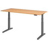 HAMMERBACHER XBHM19 elektrisch höhenverstellbarer Schreibtisch buche rechteckig, C-Fuß-Gestell grau 180,0 x 80,0 cm von HAMMERBACHER