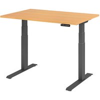 HAMMERBACHER XDKB12 elektrisch höhenverstellbarer Schreibtisch buche rechteckig, C-Fuß-Gestell grau 120,0 x 80,0 cm von HAMMERBACHER