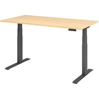 HAMMERBACHER XDKB16 elektrisch höhenverstellbarer Schreibtisch ahorn rechteckig, C-Fuß-Gestell grau 160,0 x 80,0 cm von HAMMERBACHER