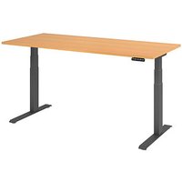 HAMMERBACHER XDKB19 elektrisch höhenverstellbarer Schreibtisch buche rechteckig, C-Fuß-Gestell grau 180,0 x 80,0 cm von HAMMERBACHER