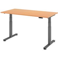 HAMMERBACHER XDSM16 elektrisch höhenverstellbarer Schreibtisch buche rechteckig, T-Fuß-Gestell grau 160,0 x 80,0 cm von HAMMERBACHER