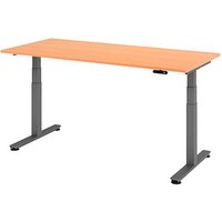 HAMMERBACHER XDSM19 elektrisch höhenverstellbarer Schreibtisch buche rechteckig, T-Fuß-Gestell grau 180,0 x 80,0 cm von HAMMERBACHER