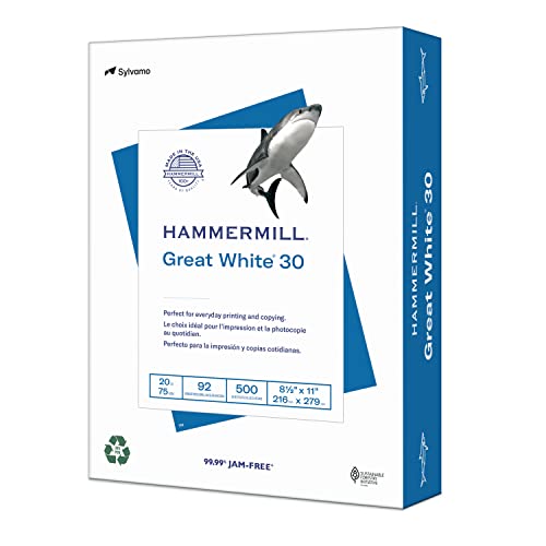 Hammermill Great White 86710 Recycling-Druckpapier, 92 hell, 9,1 kg, 8,5 x 11, Weiß, 500 Blatt/Ries, 5 Ries/Karton von HAMMERMILL