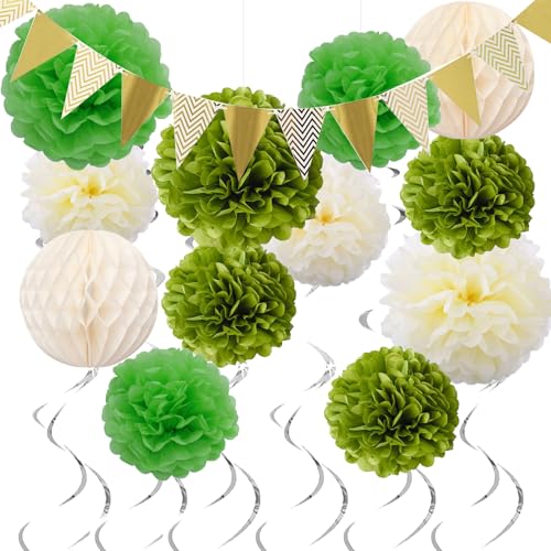 HANIUTTY Geburtstagsdeko Grün Frauen Pack of 19, Gartenparty Deko Draußen Sommer Wedding Decorations Green Tissue Pom Poms Wabenbälle Lampions Grün Dschungel Deko Geburtstag Salbeigrün Deko von HANIUTTY