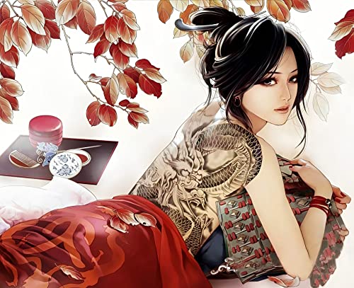 HANTIAN Malen nach Zahlen Anime japanisches Mädchen Geisha np19 Für Erwachsene und Kinder DIY Ölgemälde Geschenk-Kits Vorgedruckte Leinwand Kunst Home Decoration 16x20 Zoll rahmenlos von HANTIAN