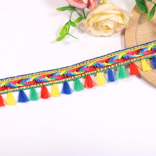 5.6 Meter Quaste Trim Band Pompon Borte Fringe Pompoms Bunt Fransen Quasten Trim Fransen Spitzenborte Pomponborte Pom Bommelborte Pom Poms Balls Fransenbesatz FüR Heimwerker NäH ZubehöR Dekoration (C) von HAOBIN