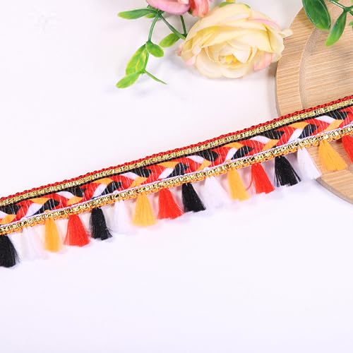 5.6 Meter Quaste Trim Band Pompon Borte Fringe Pompoms Bunt Fransen Quasten Trim Fransen Spitzenborte Pomponborte Pom Bommelborte Pom Poms Balls Fransenbesatz FüR Heimwerker NäH ZubehöR Dekoration (D) von HAOBIN