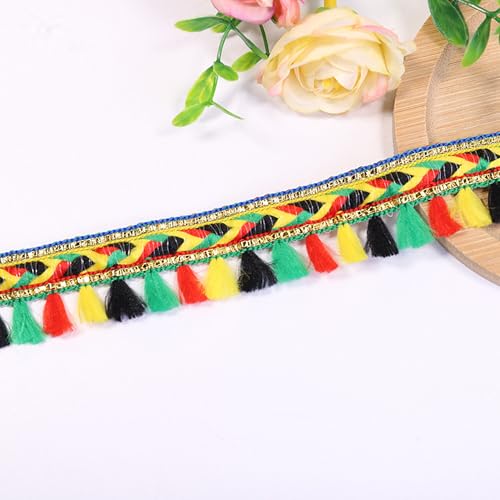 5.6 Meter Quaste Trim Band Pompon Borte Fringe Pompoms Bunt Fransen Quasten Trim Fransen Spitzenborte Pomponborte Pom Bommelborte Pom Poms Balls Fransenbesatz FüR Heimwerker NäH ZubehöR Dekoration (G) von HAOBIN