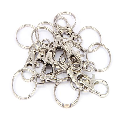 HAPINARY 10St Schlüsselbund drehhaken carabiner hook keysersdünger schlüsselablage Karabinerhaken schlusselketten key chain key fob Schlüsselringe Hummerschere Schlüsselanhänger aus Metall von HAPINARY