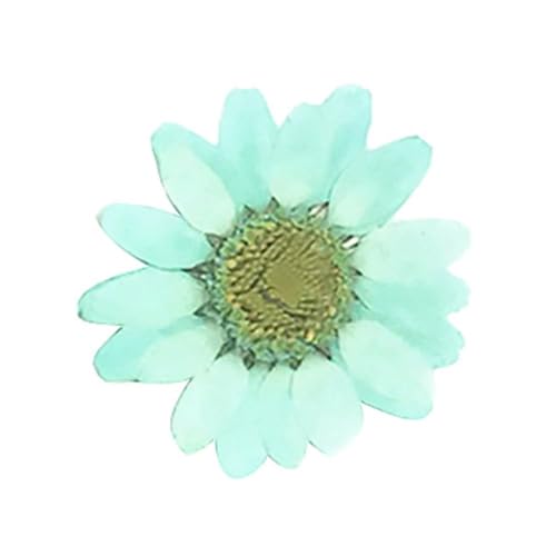 Getrocknete gepresste Blumen, Blumen gepresste getrocknete DIY Epoxidharz 36 Stück natürliche Blumen gepresste getrocknete Nagelkunst Telefondekoration Natürliche getrocknete Blütenblätter(Light Blue) von HBALDTEDC