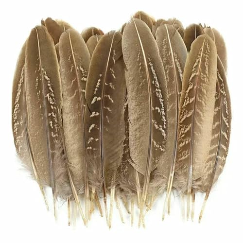 Wholesale 20 Stück natürliche Pfauenfedern und Gänsefedern Fasanfedern für DIY Handwerk Zubehör Schmuck Dekoration [Größe 10-15 cm, 20 Stück] von HCAXKFMMXU