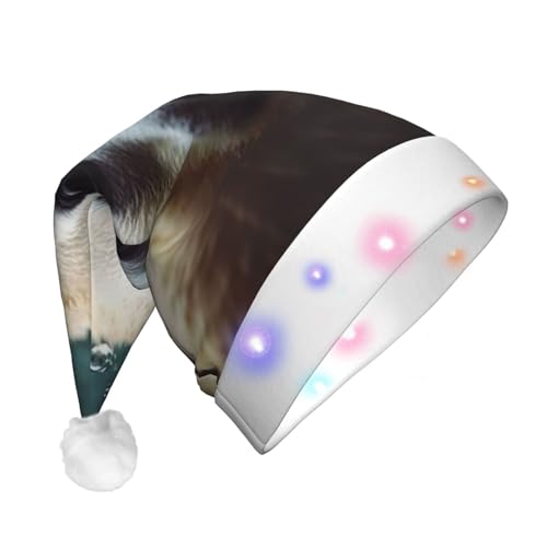 HCBPWVQA Niedliche Tier-Weihnachtsmannmütze, lustig, Unisex, Samt-Weihnachtsmütze mit bunten LED-Lichtern, Weihnachtsmütze für Erwachsene, Weihnachtsmannmütze für Neujahr, festliches Partyzubehör von HCBPWVQA