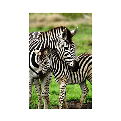 HCHES 5D Diamond Painting Tiere Zebra Diamant Painting Bilder Geschenkfür Erwachsene/Kinder Stickerei Kreuzstich Leinwand Runde Malen nach Zahlen Kunst Diamant Malerei Tiere Set 30x40cm von HCHES