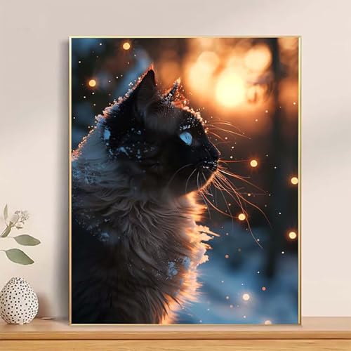 Malen Nach Zahlen Erwachsene Tier Malen Nach Zahlen Katze Paint by Numbers DIY Ölgemälde Set mit 3 Pinseln und Acrylfarbe Basteln Erwachsene für Zimmer Wanddeko, Geschenke 40 x 60 cm -hcj25042Z Malen Nach Zahlen Erwachsene Tier Malen Nach Zahlen Katze Paint by Numbers DIY Ölgemälde Set mit 3 Pinseln und Acrylfarbe Basteln Erwachsene für Zimmer Wanddeko, Geschenke 40 x 60 cm -hcj25042Z von HCJUTFOU