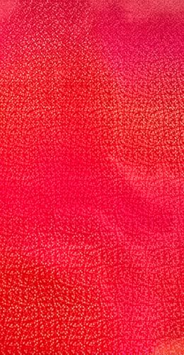 HDK-VERSAND 1 Stück Wachsplatten Muster Effektwachsplatte Grösse 200 x 100 x 0,5 mm (Holografisch Glimmer Rot) von HDK-VERSAND