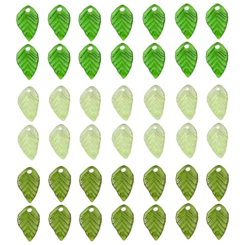 Multistyle Green Blatt Anhänger Klare Acrylperlen Schmuckversorgungen Für Handgefertigte Schmuckdesignprojekte Multistyle Green Blatt Anhänger Klare Acrylperlen Schmuckversorgungen Für Handgefertigte Schmuckdesignprojekte von HDOYTXXM