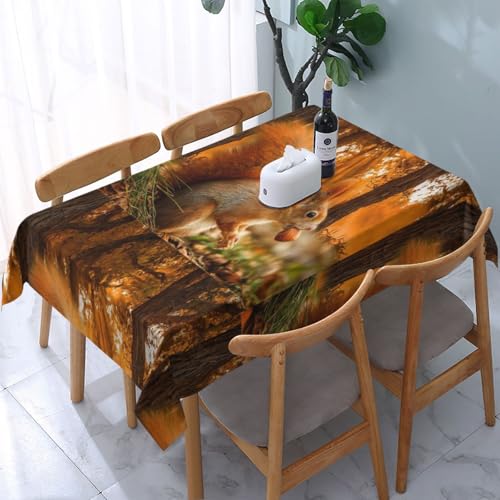 Süßes Eichhörnchen isst Nüsse, Tischdecke, wasserdichte, staubdichte und knitterfreie Tischtuch - 90 x 140 cm von HDTVTV