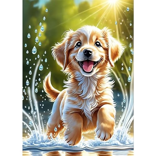 HEIBAGO Hund Diamond Painting Für Anfänger, 5D Tiere Full Drill Diamant Painting Erwachsene, DIY Cross Embroidery Diamant Kunst Sets Pool Diamond Art Bilder Für Gifts, Wanddekor 30 * 40cm von HEIBAGO