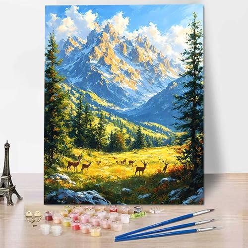 Berg Malen Nach Zahlen Erwachsene, Malen Nach Zahlen Kinder Landschaft DIY Handgemaltes Ölgemälde Set für Anfänger und Erwachsene, Acrylfarbe, Kindergemälde, Heimdekoration, Geschenk 30x40cm X-F von HENJGWEG