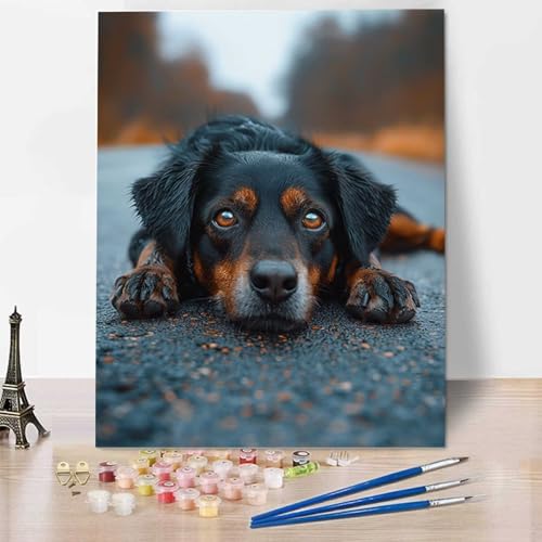 HENJGWEG Hund Malen Nach Zahlen Erwachsene, Painting By Numbers, DIY Tier Leinwand Ölgemälde Set, Malen Nach Zahlen Kinder Perfekt für Home Wand Dekoration und Geschenke (ohne Rahmen) 50x65cm U-9 von HENJGWEG