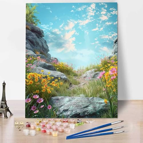 Himmel Malen Nach Zahlen ab 5 6 7 Jahre Mädchen Rahmenlos - Malen Nach Zahlen Erwachsene Blume Malen Nach Zahlen für Kinder Acrylfarben, für kreative Heimdekoration, Geschenk, Weihnachten 60x80cm Q-G von HENJGWEG