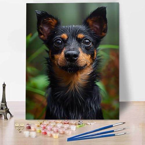 Hund Malen Nach Zahlen Erwachsene, Malen Nach Zahlen Kinder DIY Handgemalt Ölgemälde Kit für Anfänger und Erwachsene Mit Pinseln und Acrylfarbe, Ohne Rahmen 40x50cm Tier für Familie, Geschenke Y-7 von HENJGWEG