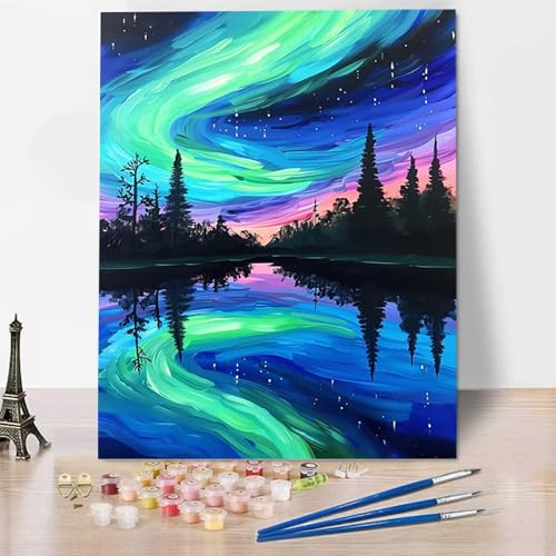 Landschaft Malen Nach Zahlen Erwachsene Sternenhimmel Malen Nach Zahlen Kinder DIY Ölgemälde Leinwand Set mit Pinsel und Acrylpigment für Frauen Home Deko Geburtstag Weihnachten Geschenk - 70x95cm 0-3 von HENJGWEG