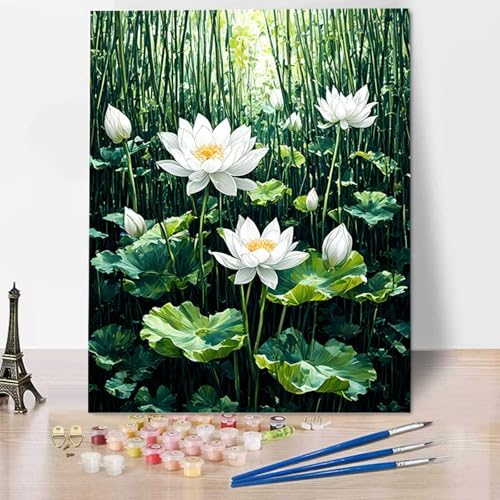 Malen Nach Zahlen Erwachsene Blume, Malen Nach Zahlen Kinder Lotus DIY Handgemalt Ölgemälde Leinwand Kits Mit Pinseln und Acrylfarbe Als Geschenke und Heimdekoration, Ohne Rahmen (40x50cm) 1-2 von HENJGWEG