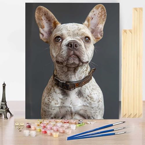 Malen Nach Zahlen Erwachsene Tier Malen Nach Zahlen mit Rahmen, Paint by Numbers Hund Painting by Numbers Bastelset Erwachsene mit 3 Pinseln und Acrylfarbe für Deko Wohnzimmer 20 x 30 cm -j2503X3 Malen Nach Zahlen Erwachsene Tier Malen Nach Zahlen mit Rahmen, Paint by Numbers Hund Painting by Numbers Bastelset Erwachsene mit 3 Pinseln und Acrylfarbe für Deko Wohnzimmer 20 x 30 cm -j2503X3 von HENJGWEG