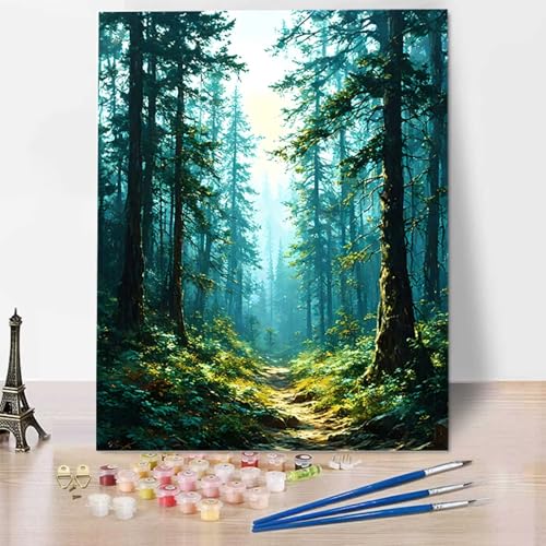 Wald Malen Nach Zahlen Erwachsene, Malen Nach Zahlen Kinder Landschaft DIY Handgemaltes Ölgemälde Set für Anfänger und Erwachsene, Acrylfarbe, Kindergemälde, Heimdekoration, Geschenk 30x40cm 3-R von HENJGWEG