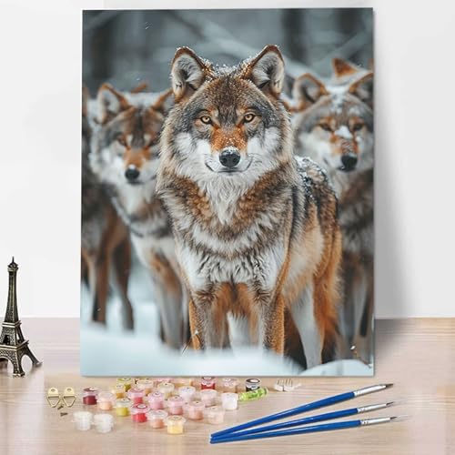 Wolf Diy malen nach zahlen erwachsene Tier Malen Nach Zahlen Bild für Erwachsene Groß Diy Ölgemälde Kit für Anfänger, Malen Nach Zahlen Kinder Knitterfreie Leinwand (Rahmenlos) 40 x 50 cm U-7 von HENJGWEG