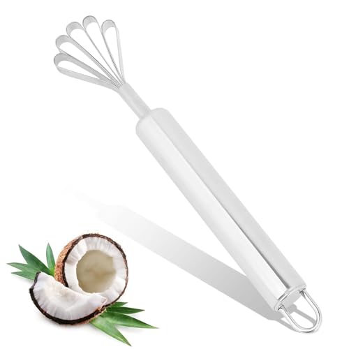 Kokosnuss Reibe Edelstahl, Coconut Scraper, Kokosnussreibe, 19,5 * 3,5 * 1 cm Kokosschaber Mehrzweck Kokos Schaber Schneider für Küchenschüsseln Fischschupper-Entferner von HERCHR