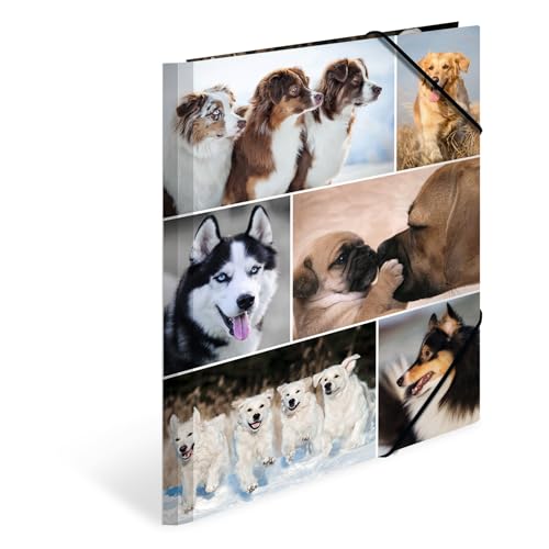 HERMA Sammelmappen A4 Hunde Set, 3 Stück, Kinder Eckspanner-Mappen aus Pappe mit Tier Motiv, Gummizug, Innenklappen und Innendruck für Jungen und Mädchen von HERMA