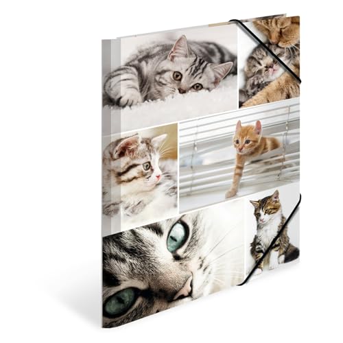 HERMA Sammelmappen A4 Katzen Set, 3 Stück, Kinder Eckspanner-Mappen aus Pappe mit Tier Motiv, Gummizug, Innenklappen und Innendruck für Jungen und Mädchen von HERMA