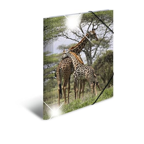 HERMA Sammelmappen A4 Giraffe Set, 3 Stück, Kinder Eckspanner-Mappen aus Kunststoff mit Tier Motiv, Hochglanz-Optik, Gummizug, Innenklappen und Innendruck für Jungen und Mädchen von HERMA